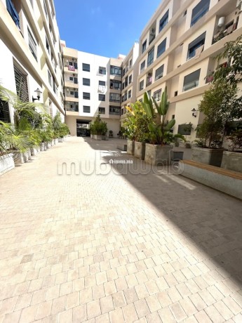 appartement-vente-oulfa-big-18