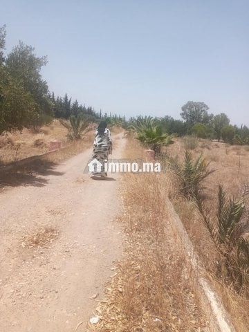 فيرمة للبيع طريق امزار - Vente Immobilier - Fes - photo 1