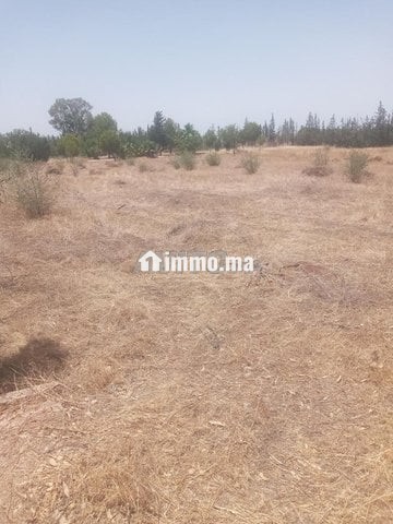 فيرمة للبيع طريق امزار - Vente Immobilier - Fes - photo 4