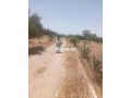 fyrm-llbyaa-tryk-amzar-small-0