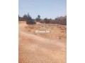fyrm-llbyaa-tryk-amzar-small-2