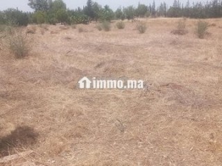 فيرمة للبيع طريق امزار - Terrain à vendre - Fes