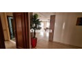 a-louer-appartement-200m2-meuble-palmier-small-2