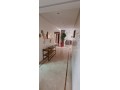 a-louer-appartement-200m2-meuble-palmier-small-3