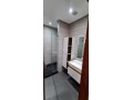a-louer-appartement-200m2-meuble-palmier-small-6