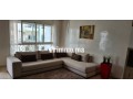 a-louer-appartement-200m2-meuble-palmier-small-7