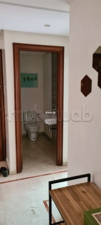 a-louer-appartement-200m2-meuble-palmier-big-12