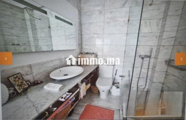 a-louer-appartement-200m2-meuble-palmier-big-13