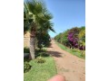 a-louer-une-ferme-avec-grande-villa-refaite-a-neuf-small-6