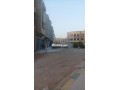 tgzy-am-alkr-almrg-fas-small-5