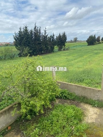 مزرعة للبيع او الاستبدال - Vente Immobilier - Kenitra - photo 1