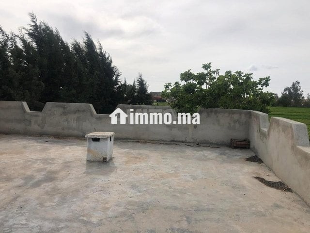 مزرعة للبيع او الاستبدال - Vente Immobilier - Kenitra - photo 2