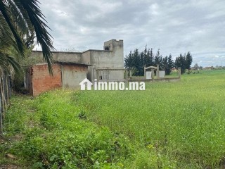 مزرعة للبيع او الاستبدال - Terrain à vendre - Kenitra