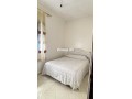sharaa-alrashdy-znf-2-small-1