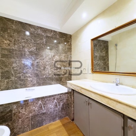 appartement-a-louer-au-coeur-de-racine-big-4