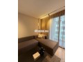 location-magnifique-studio-meuble-palmiers-small-1