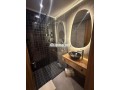 location-magnifique-studio-meuble-palmiers-small-8
