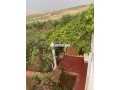 ferme-equipee-a-vendre-small-6