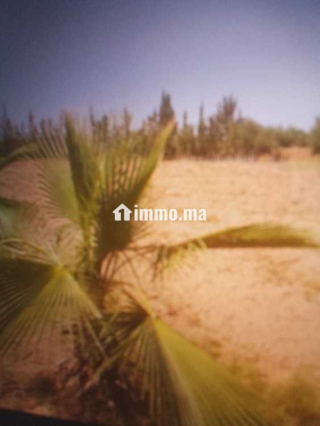 Terrain terrain titré 13200m2 à 17km de Marrakech - Vente Immobilier - Marrakech - photo 1