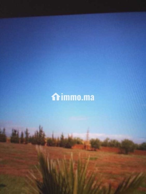 Terrain terrain titré 13200m2 à 17km de Marrakech - Vente Immobilier - Marrakech - photo 3