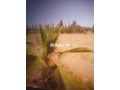 terrain-terrain-titre-13200m2-a-17km-de-marrakech-small-0