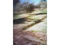 terrain-terrain-titre-13200m2-a-17km-de-marrakech-small-3