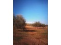 terrain-terrain-titre-13200m2-a-17km-de-marrakech-small-4