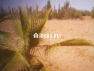 terrain-terrain-titre-13200m2-a-17km-de-marrakech