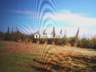 Terrain terrain titré 13200m2 à 17km de Marrakech - Terrain à vendre - Marrakech