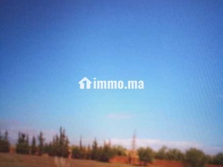Terrain terrain titré 13200m2 à 17km de Marrakech - Terrain à vendre - Marrakech