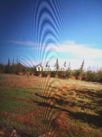 terrain-terrain-titre-13200m2-a-17km-de-marrakech-big-1