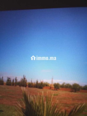 terrain-terrain-titre-13200m2-a-17km-de-marrakech-big-2