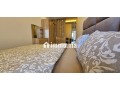 appart-meuble-renove-a-neuf-sur-locean-small-1