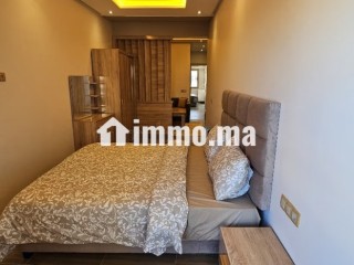 appart-meuble-renove-a-neuf-sur-locean
