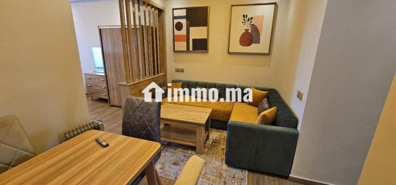 appart-meuble-renove-a-neuf-sur-locean-big-9