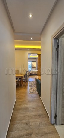 appart-meuble-renove-a-neuf-sur-locean-big-4
