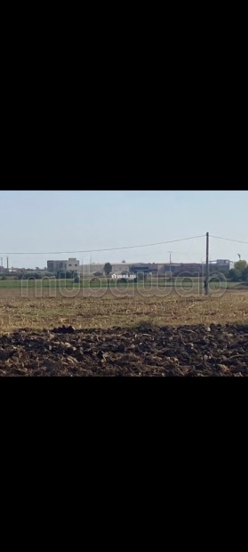 Terrain peri urbain - Vente Immobilier - Autre - photo 5