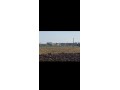 terrain-peri-urbain-small-4