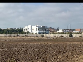 Terrain peri urbain - Terrain à vendre - Autre