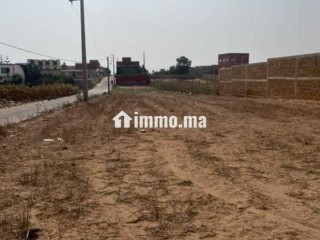 Terrain Titré à Oualidia – Vue Mer Imprenable ! - Terrain à vendre - Casablanca