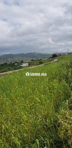 أرض محفظة (همزة) - Location Immobilier - Tetouan - photo 1