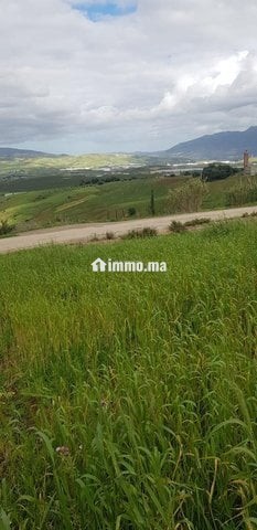 أرض محفظة (همزة) - Location Immobilier - Tetouan - photo 2