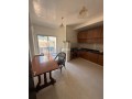 appartement-centrale-spacieux-familial-a-rdc-small-6