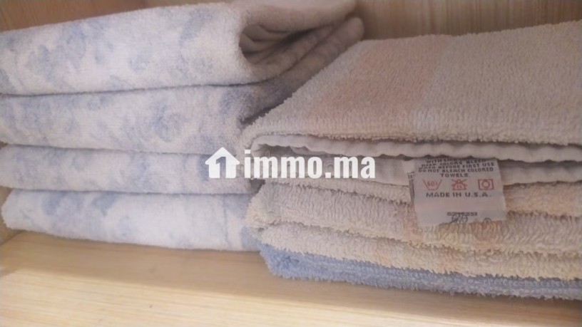 appartement-centrale-spacieux-familial-a-rdc-big-16