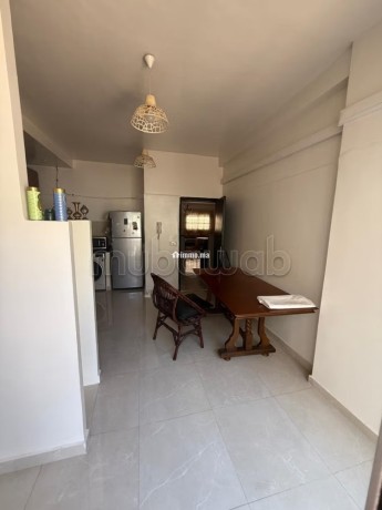 appartement-centrale-spacieux-familial-a-rdc-big-5
