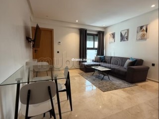 appartement-meuble-a-france-ville