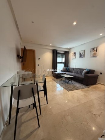 appartement-meuble-a-france-ville-big-0