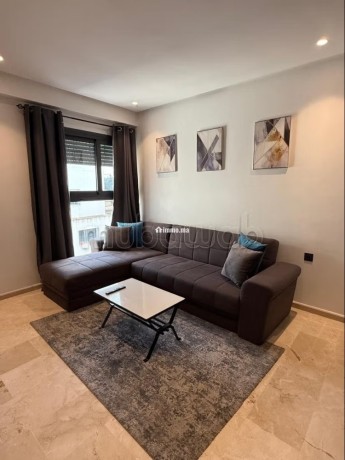 appartement-meuble-a-france-ville-big-1