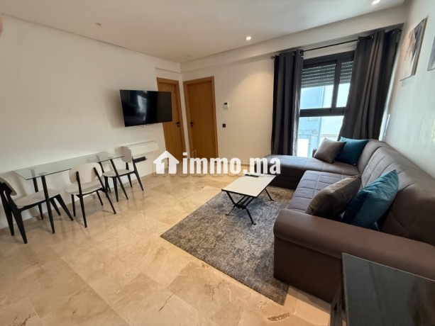 appartement-meuble-a-france-ville-big-2