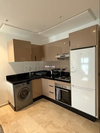 appartement-meuble-a-france-ville-big-3